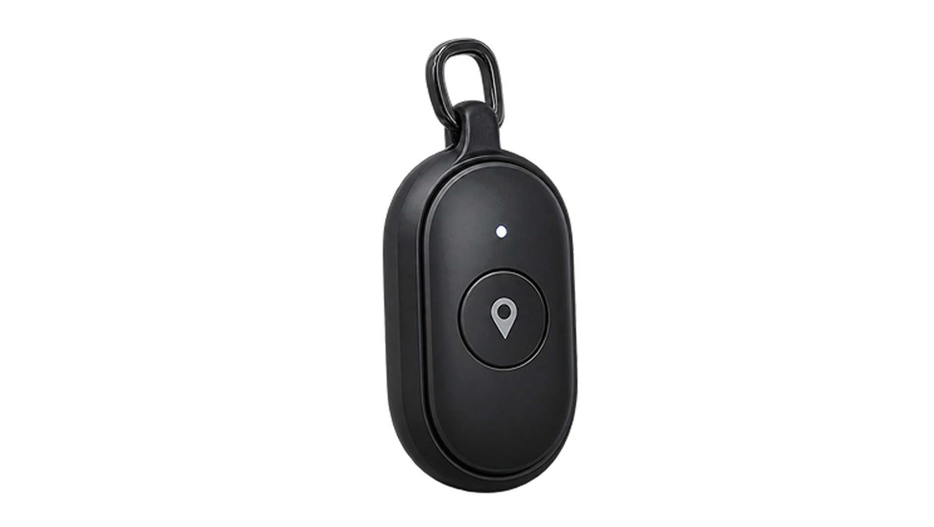 Companion Finder Pendant (PCD-PENDANT) image 3