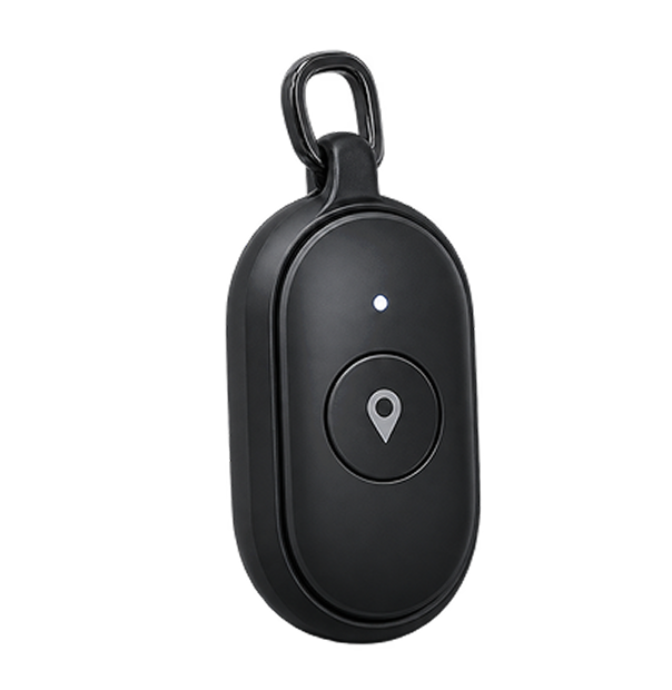 Companion Finder Pendant (PCD-PENDANT)