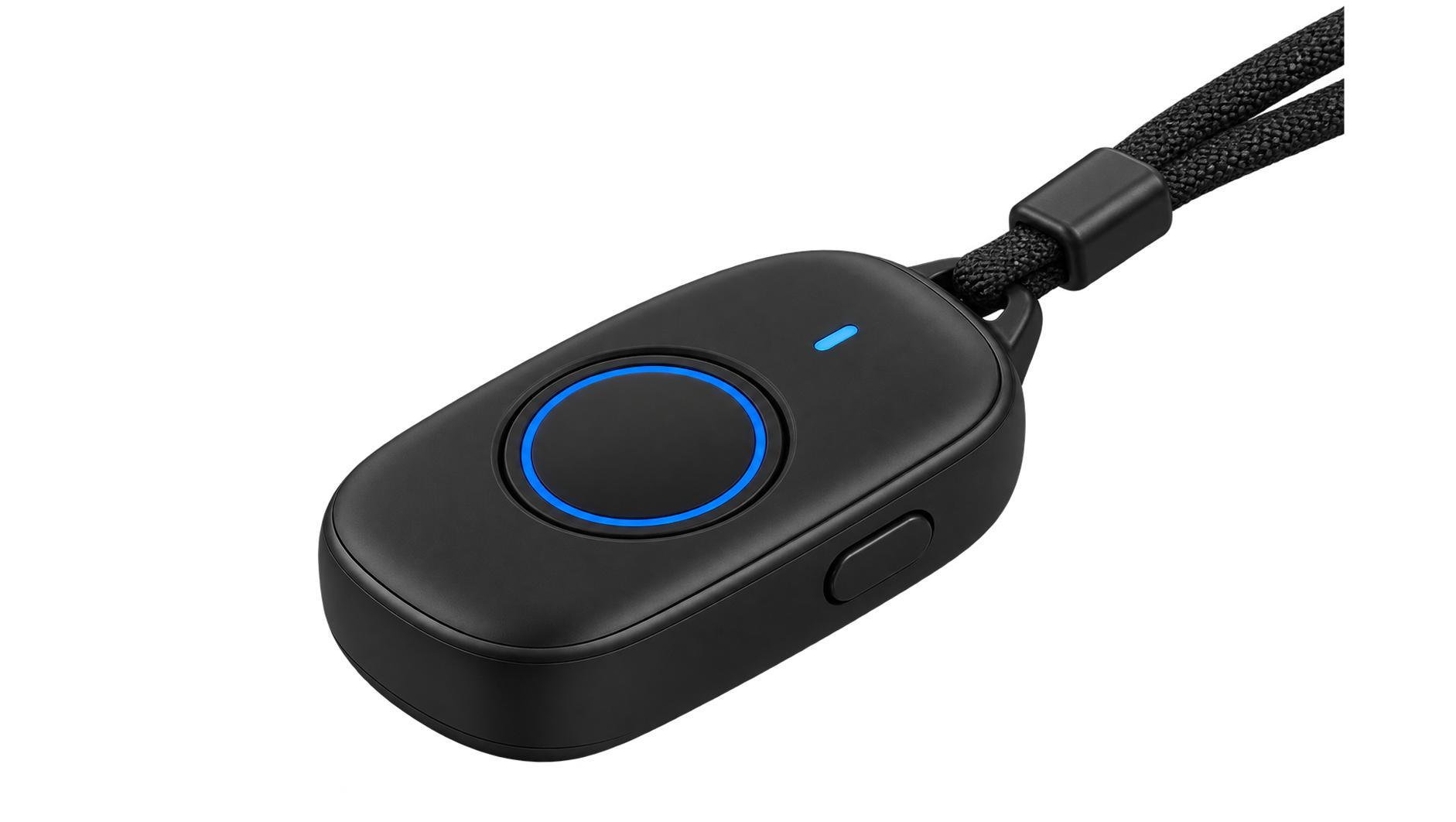 Companion Finder Pendant (PCD-PENDANT) image 1