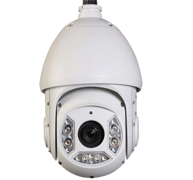 Perimeter Intrusion & Loitering Detection (EVS-PERIM) image 4